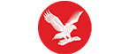 standard logo